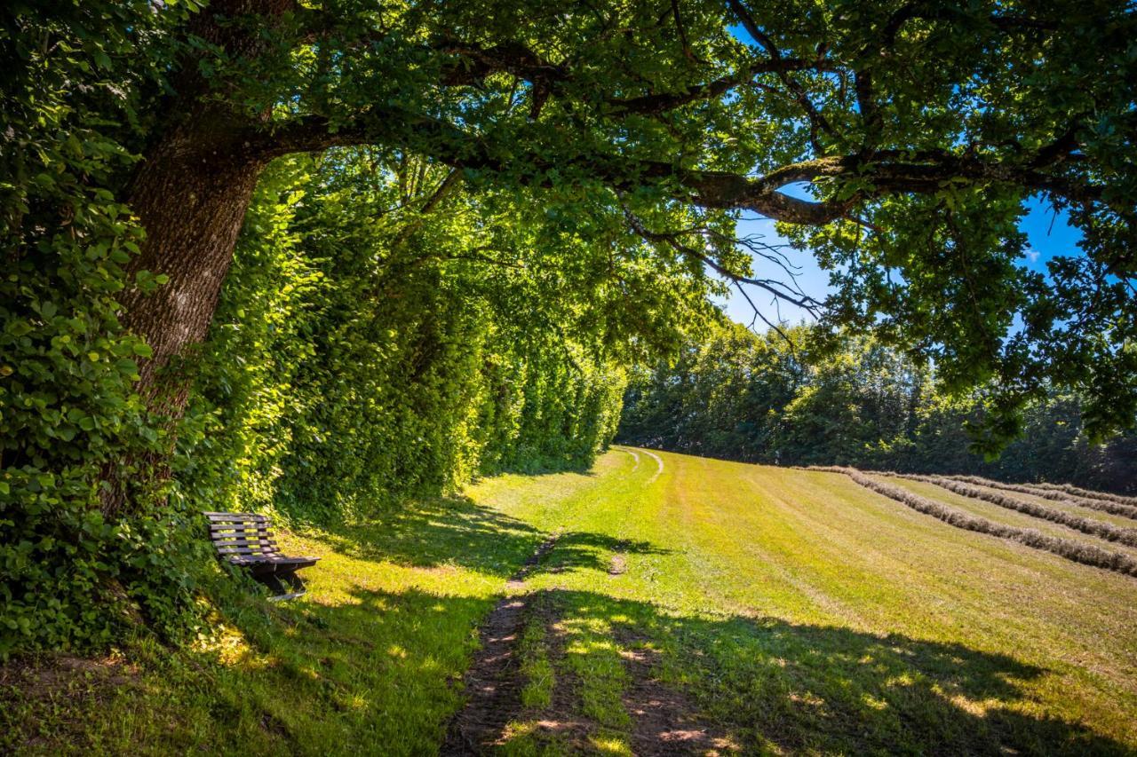 Ferienwohnung Wallmerhof Am Laendlichen Wimberg Adnet Kültér fotó